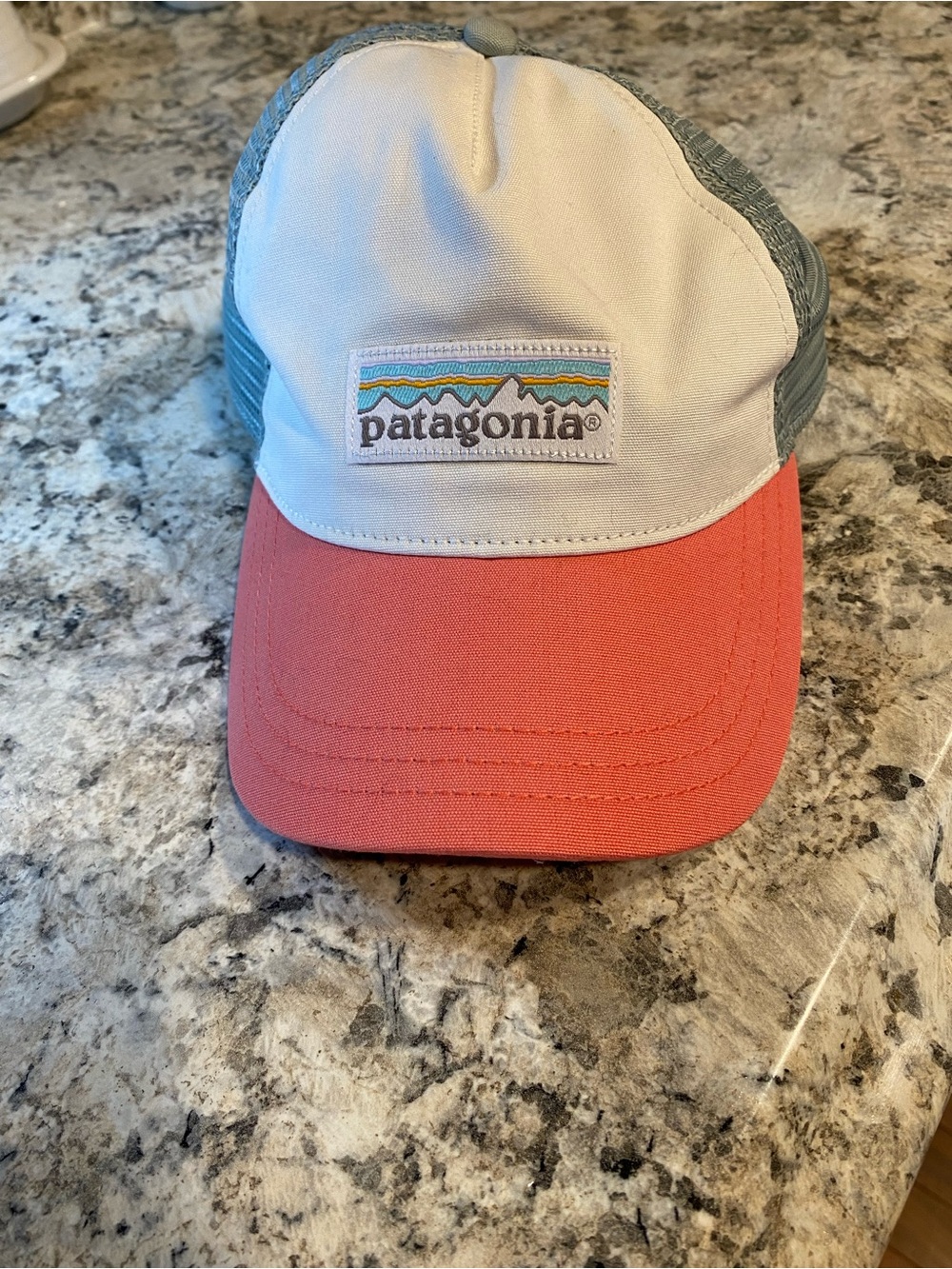Patagonia Hat